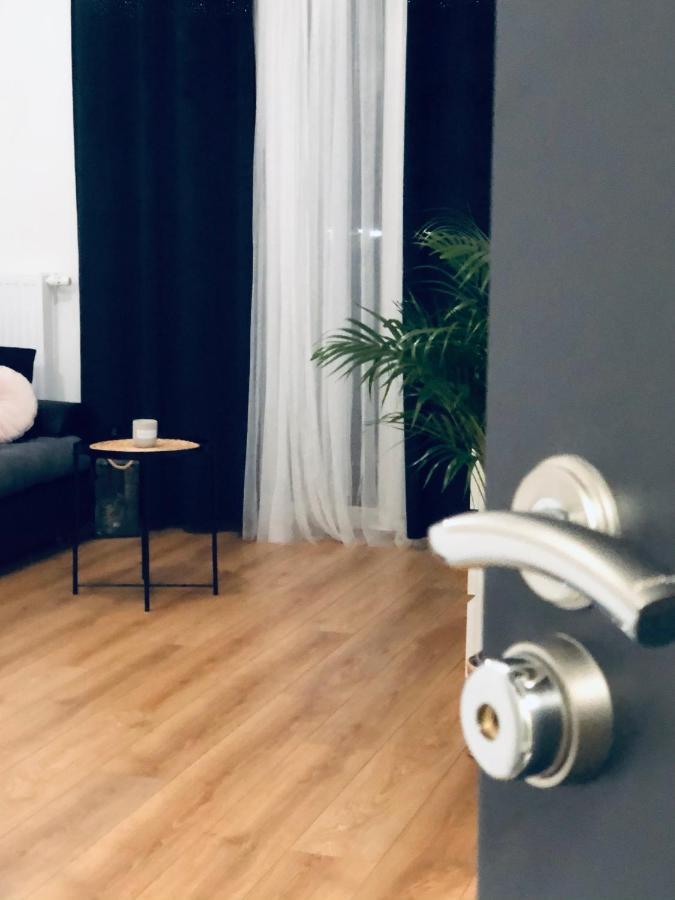 Torun Apartaments - Apartaments №17 المظهر الخارجي الصورة