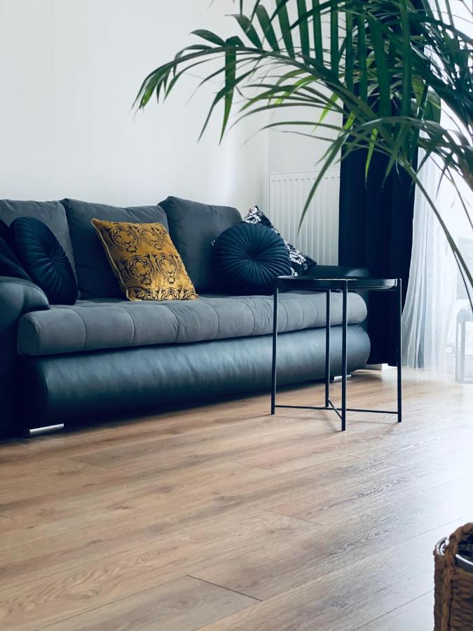 Torun Apartaments - Apartaments №17 المظهر الخارجي الصورة